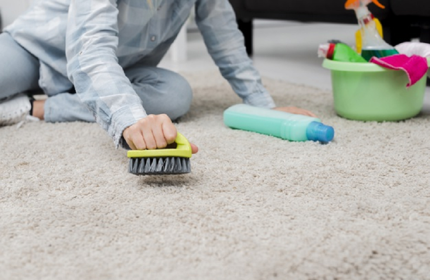 Expert Tips: Recognizing Mold Presence in Carpets