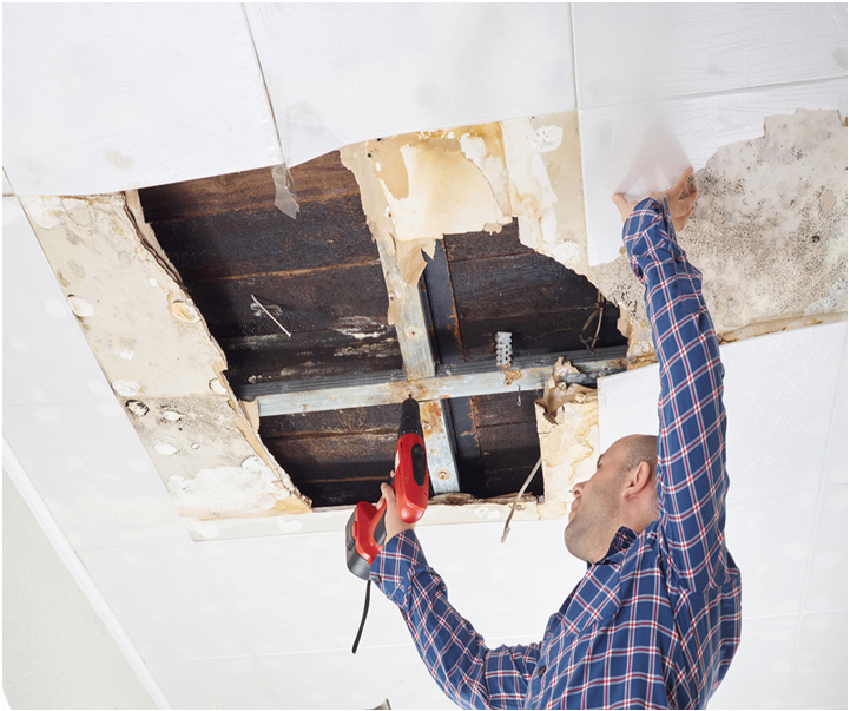 Rapid Response: Water Damage Restoration Services Across Minnesota