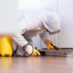 pest control near me
