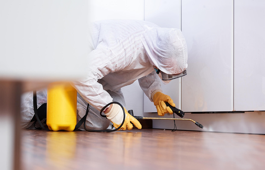 pest control near me