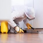 Pest Control Experts