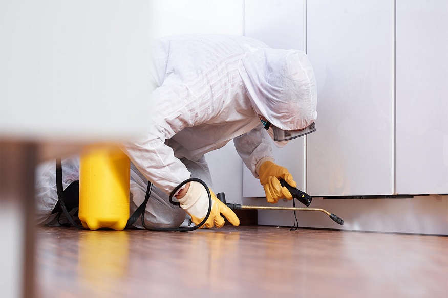 Pest Control Experts