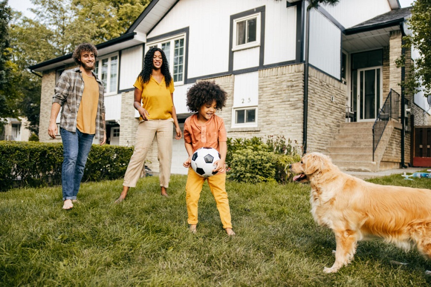 Pet Owners’ Guide to a Pest-Free Home